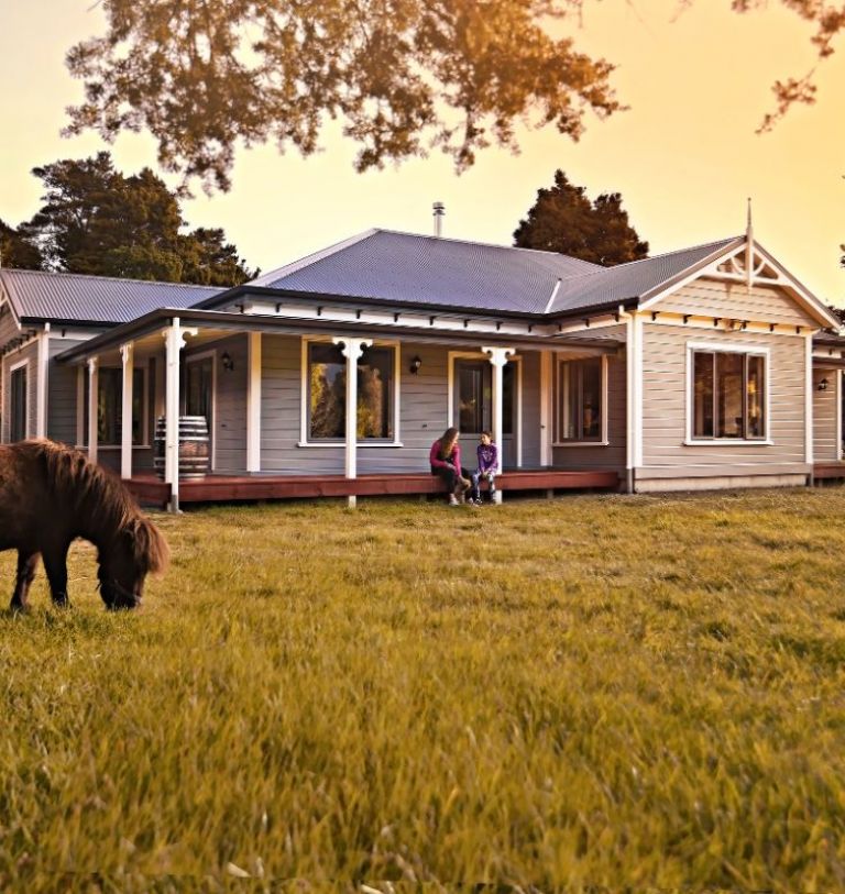 20141010_4420 copy copy copy.jpg